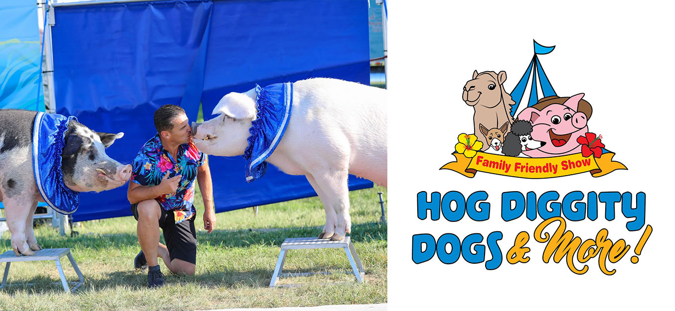 Big Butler Fair Attraction Hog Diggity Dog Show